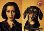 Chiens
